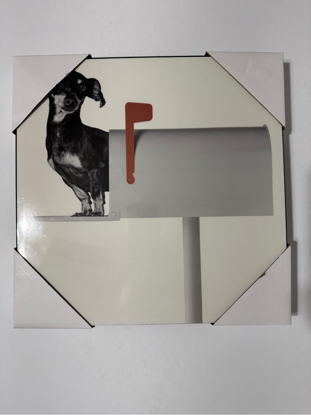 Mailbox Dog Wall Art Print - White, Orange